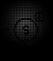 COSTOS Y RENTABILIDAD